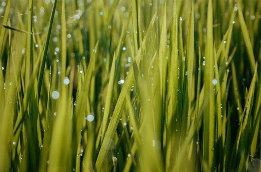 碳足跡報(bào)告公示