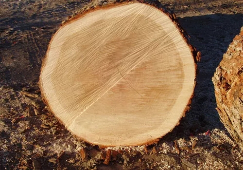 1596771886.jpg webp.webp.jpg