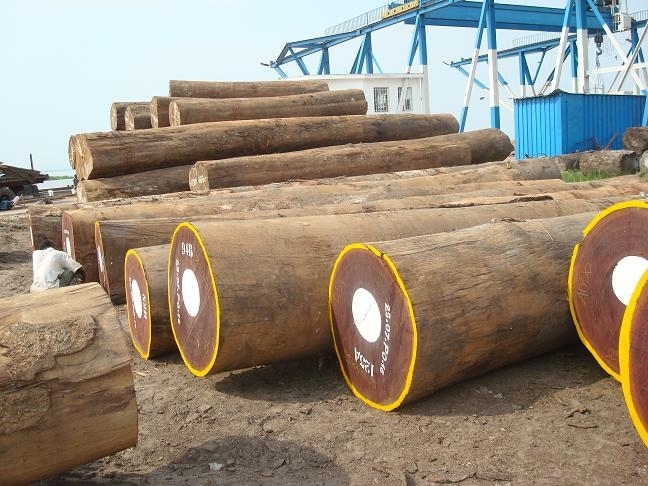 1596784641.jpg t011e813ebd3bc97066.jpg