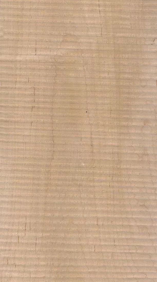 樺木的芯材顏色是淡紅棕色，邊材顏色近白色，板面寬且?guī)в暗哪酒な袌鰞r(jià)格良好，紋理通常是直紋和波浪紋，質(zhì)地均勻，板面有很好的自然光澤度。.webp.jpg